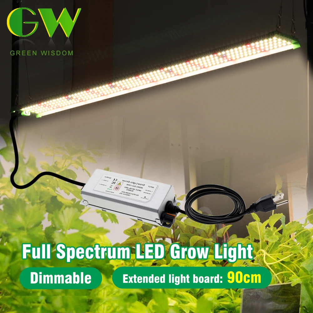 yZ[ztXyNgAv LM281B LED CgIȐk͔|vԖؕcp