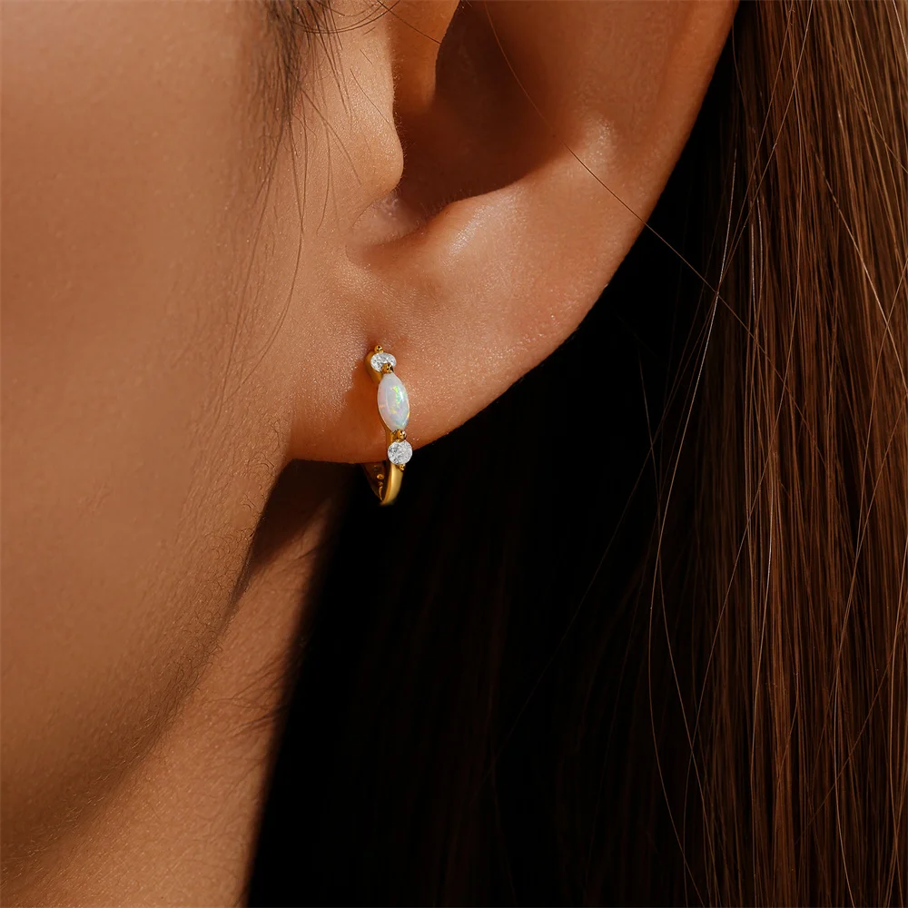 CANNER S925 Sterling Silver Mini Opal Zircon Hoop Earrings dla kobiet Klamra do uszu Drobna biżuteria Prezent Pendientes oorbellen Серьги — zdjęcie 6