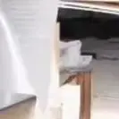 

Автоматическая электрическая машина для очистки чеснока, коммерческая и бытовая, электрический измельчитель продуктов