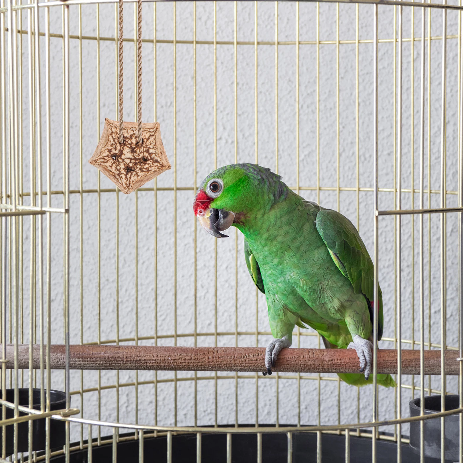

12pcs Parrot Chewing Bird Foraging Durable Dried Fruit Material Unique Shapes Small Bird Chew Treats Parrot Cage