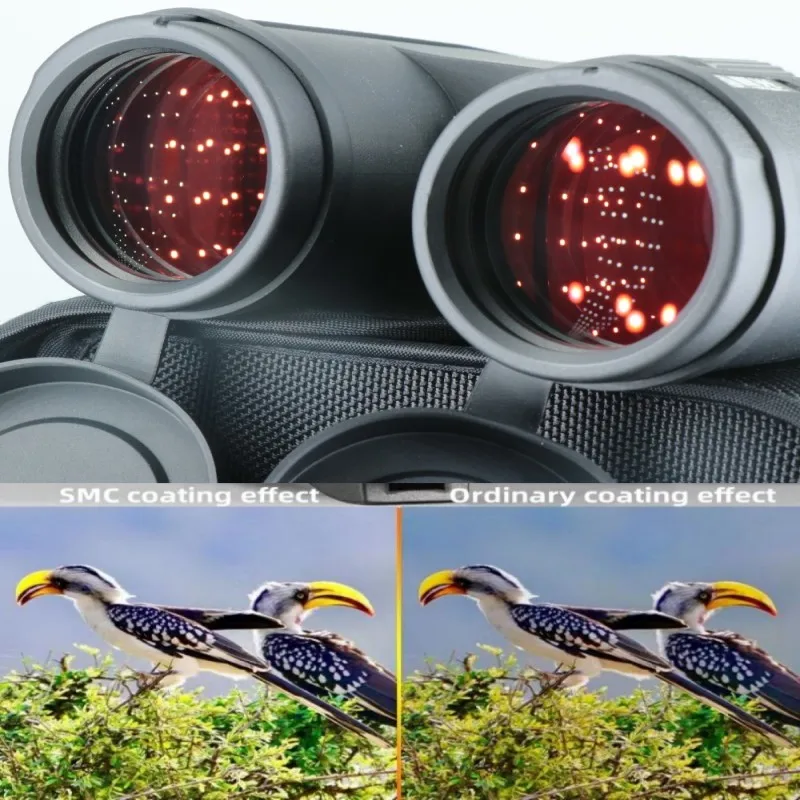 10X42 ED Binoculars, BAK4, Waterproof for Outdoor Use