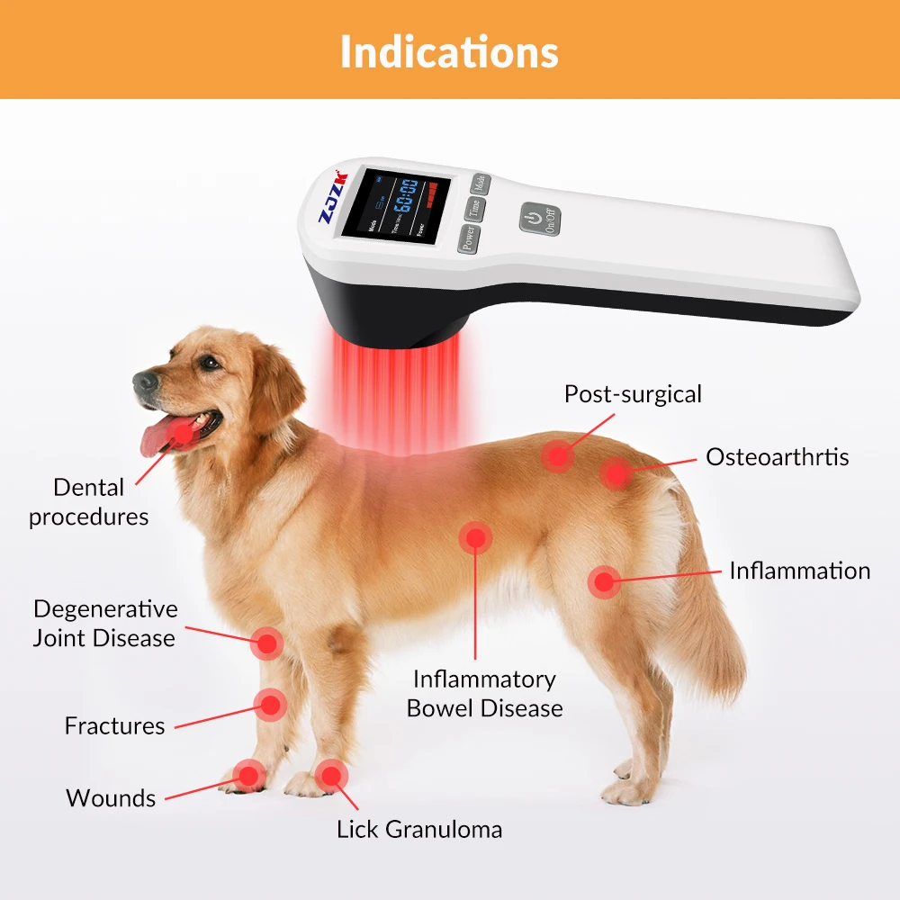Luz Lllt láser fría de 660mW para tendinitis y tratamiento de espalda, fisioterapia y rehabilitación con diodos 4x808nm 16x650nm