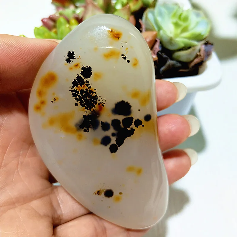 Natural Stone Waterplant Sea Agate Palm Stone Spiritual Meditation Energy Talisman Feng Shui Crystal Ornament