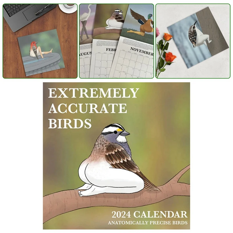 

2024 Calendar of Extremely Accurate Birds 2024 Bird Calendar Wall Calendar Decoration Poster 29x29cm