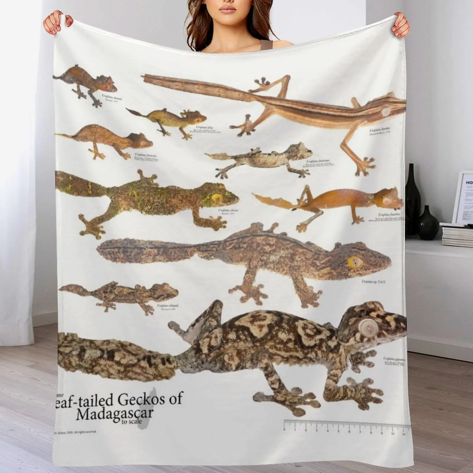 Some Leaf-Tailed Geckos of Madagascar to Scale, Version 1.0 Throw Blanket Decorative Beds cosplay anime Heavy Blankets