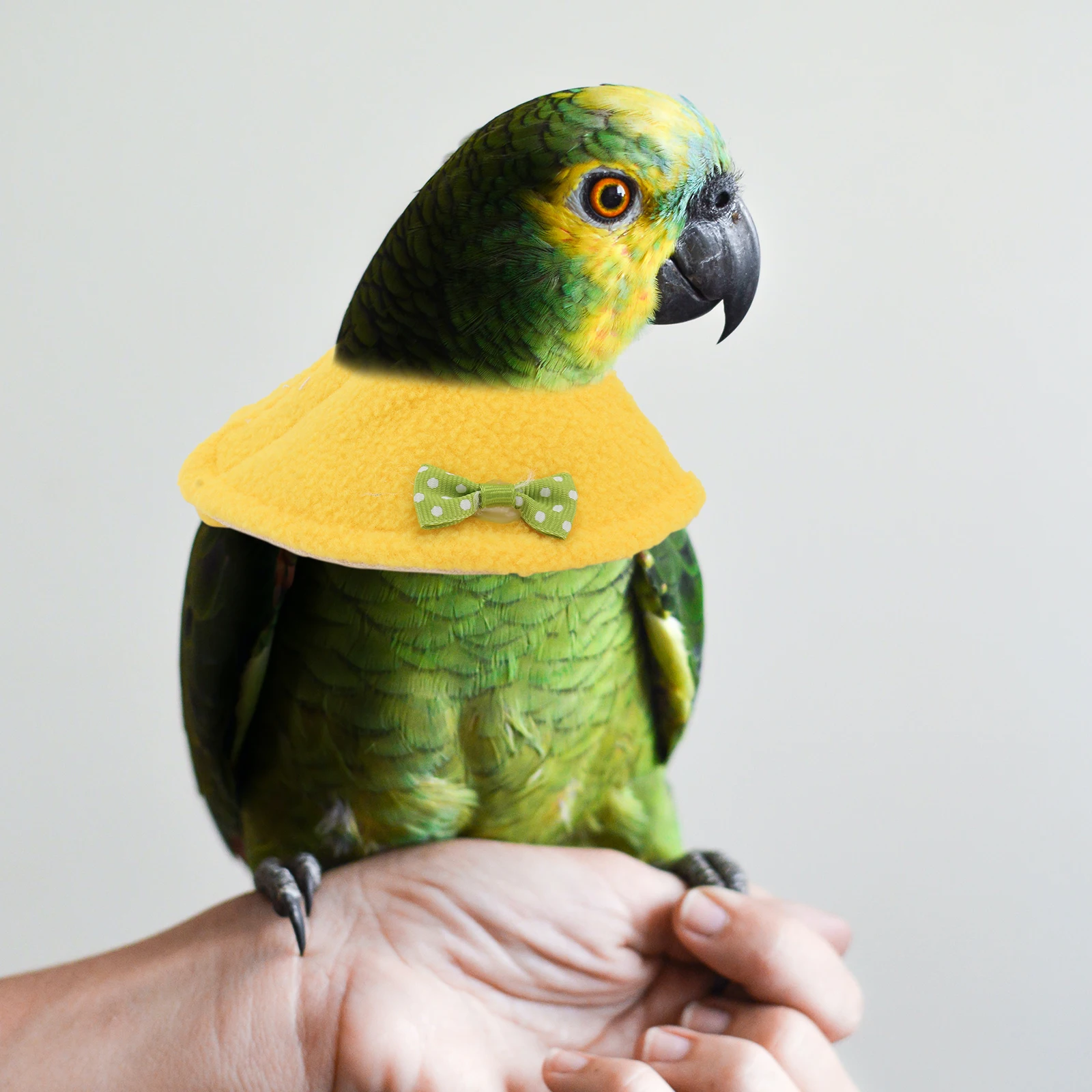 

2pcs Anti pecking Collar for Pet Birds Bird Yellow Recovery Neckband Cloak Stylish Design Easy On Off Prevents