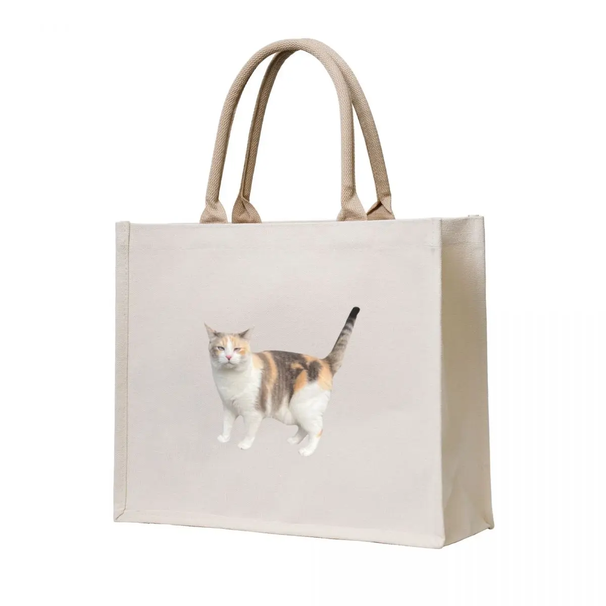 

Suspicious! Tote Bag sac pour femme Fabric bag tote bag screen eco pack