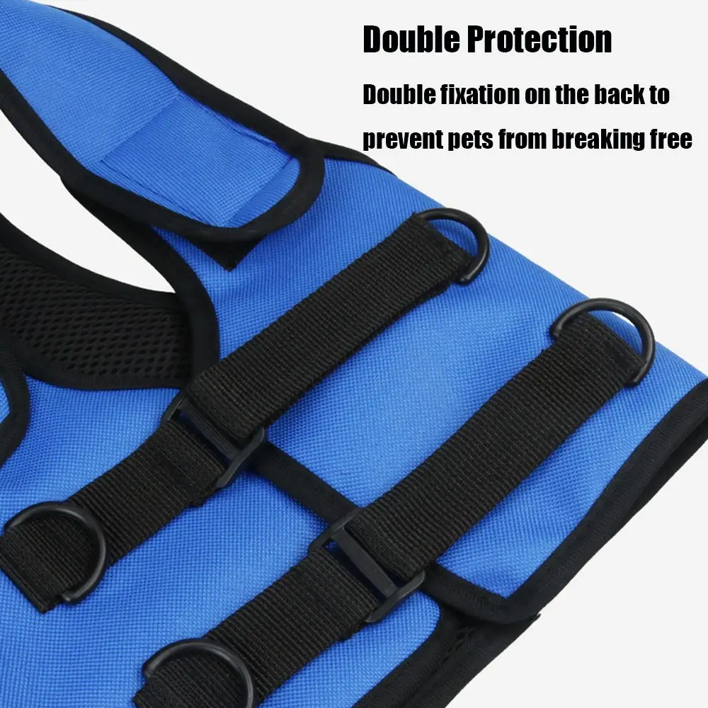 Support Front Legs Elderly Disabled Dog Pet Auxiliary Belt Dog Lifting Belt Pet Lift Support Harness Dog Walking