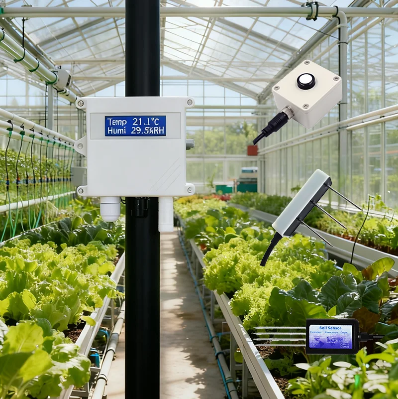 

Lora Wireless Soil PAR Light Radiation Gas Sensor for Smart Agriculture Greenhouse Substrate Cultivation Monitoring System