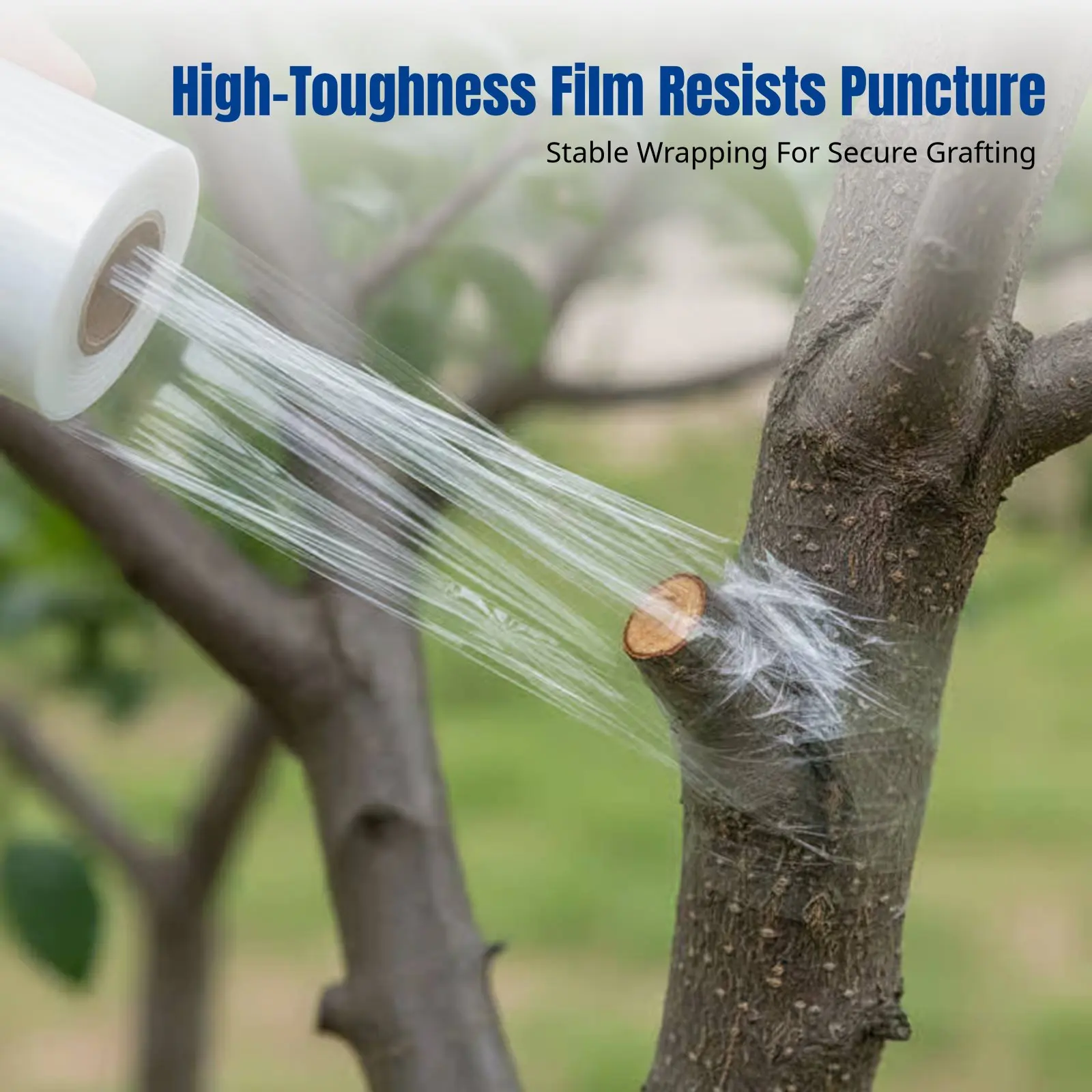 

Moisture Preservation Film, Tree Grafting Wrap, Bonsai Insulation Film, Self-Adhering, High Toughness, Transparent PVC,