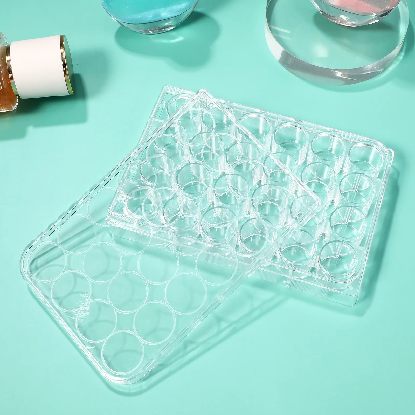 لوحة ثقافة بلاستيكية ذات 24 جيدًا لأداة المختبر المعقمة لنمو الخلايا من البوليسترين الطبي #5