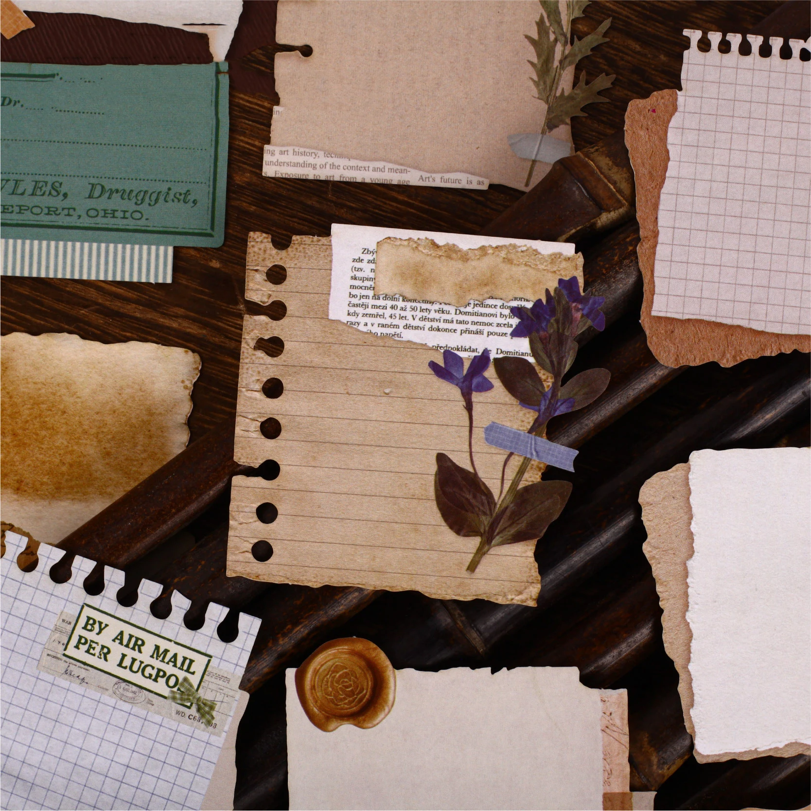 Trace Series Vintage Plant Note Sticker Creative DIY Journal Material Collage Scrapbooking Stationery