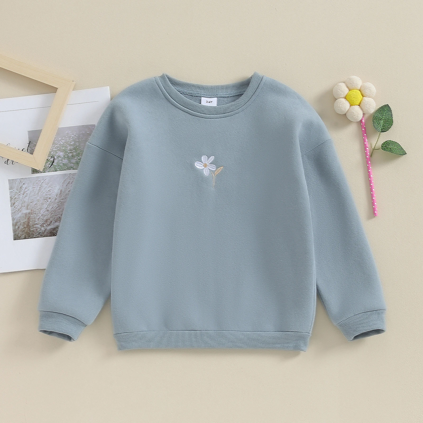 Children Baby Girl Floral Long Sleeve Pullovers Cotton Embroidery Sweatshirt 0-4 Years Top Toddler Cotton Winter Autumn Outfits