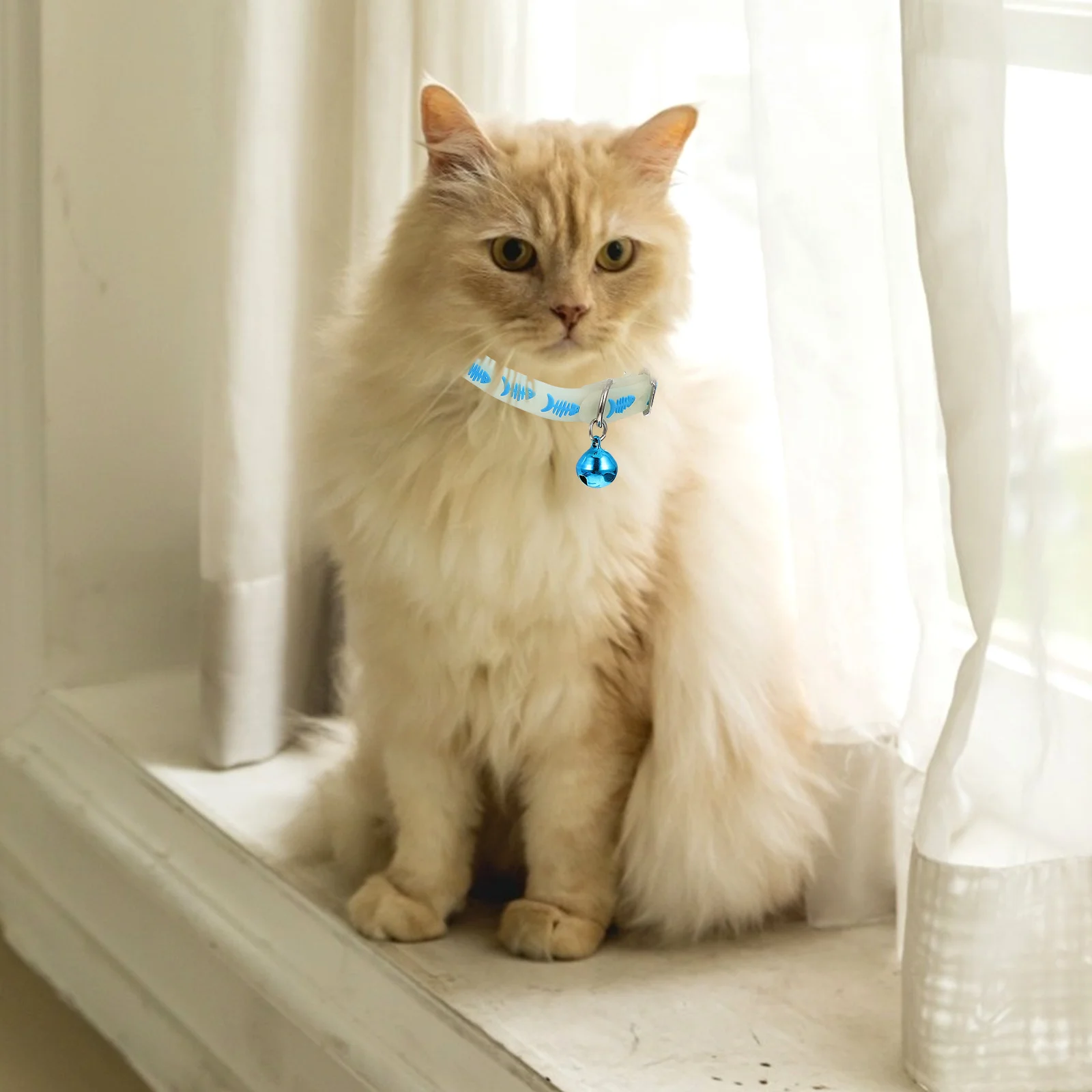 

3pcs Fluorescent Pet Collar Adjustable For Cat Small Dog Puppy Night Safety Collar With Bell For Daily Wear Party Photo Shoot