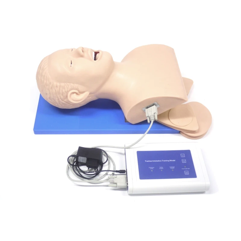 Adult Endotracheal Intubation Training Mannequin, Airway Intubation Model