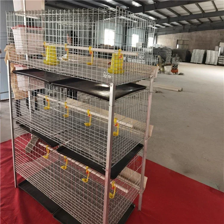 5sets 3 Tier Broiler Cages Holds 60 Broilers Complete Low Carbon Cold Drawn Steel Wire Farming Equipment