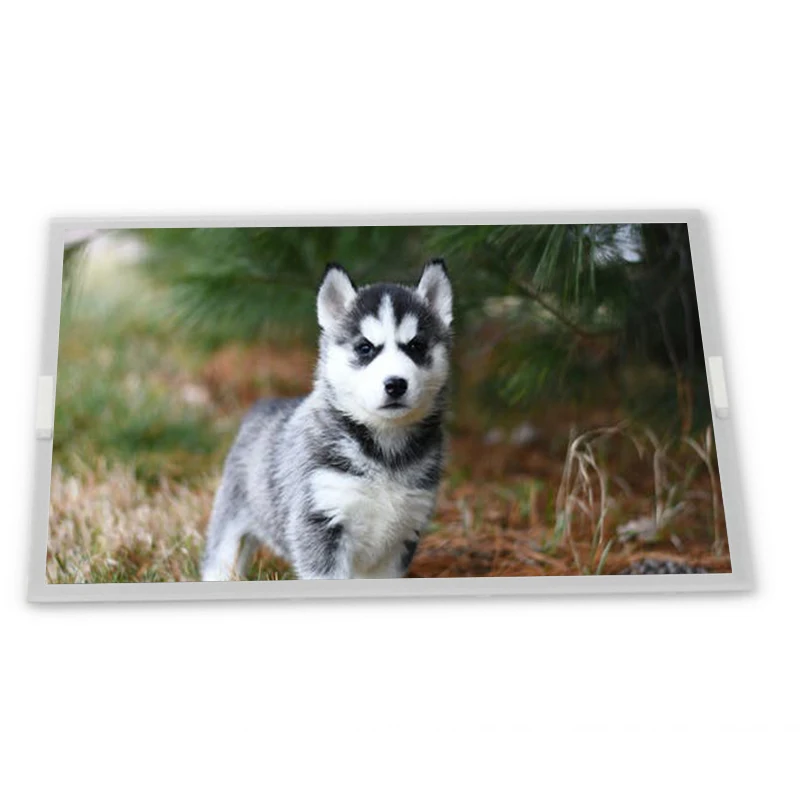 

LQ121S1DG81 12,1-дюймовая TFT-LCD панель с разрешением 800*600, поставка Zhiyan