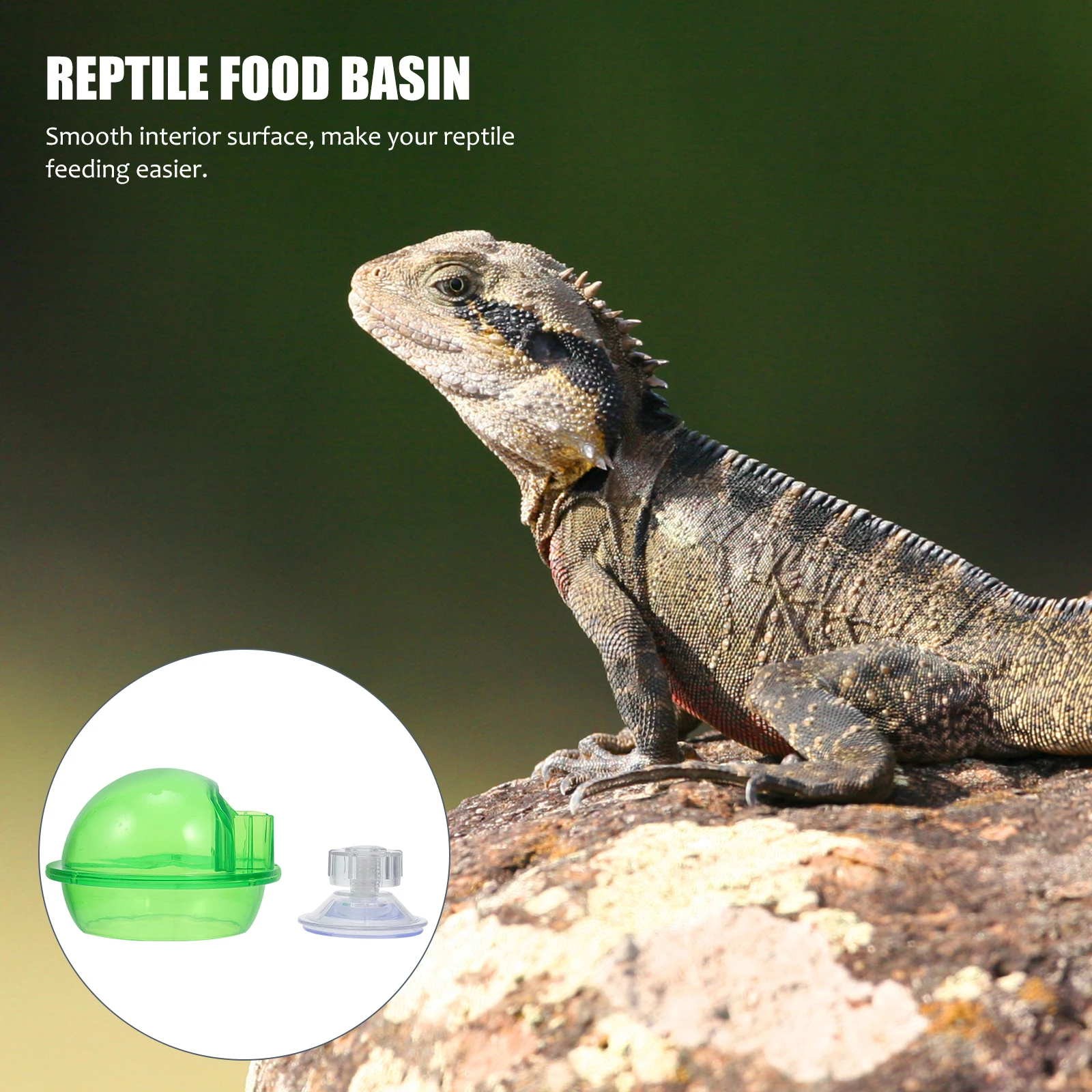 

2pcs Reptile Food Basin Feeding Bowl Water Dish for Lizards Geckos Terrarium Accessories Anti-Escape Design Smooth Surface High