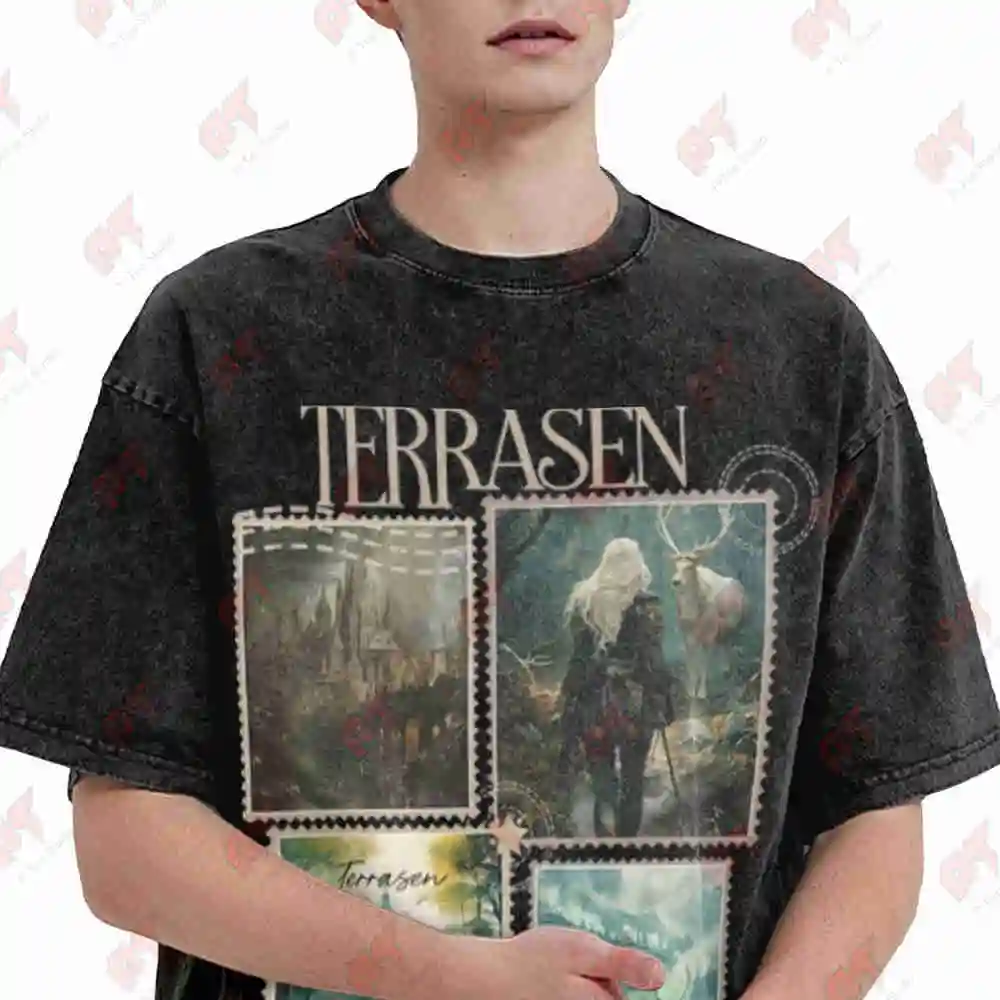 Throne Of Glass Terrasen Aelin Vintage Washed Tee Pure Cotton T-Shirt