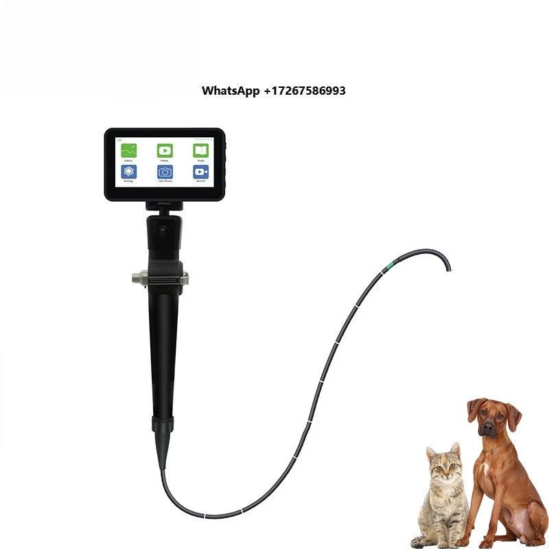 Veterinary endoscope, portable handheld flexible video laryngoscope, tracheobronchoscope, nasolaryngoscope