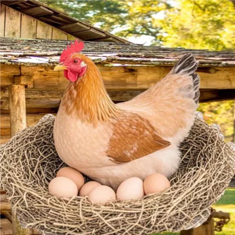1Pcs Realistic Artificial Imitation Eggs for Chicken Farm Animal Accessories  Animal Breeding Training Incubation Toy Prank Joke