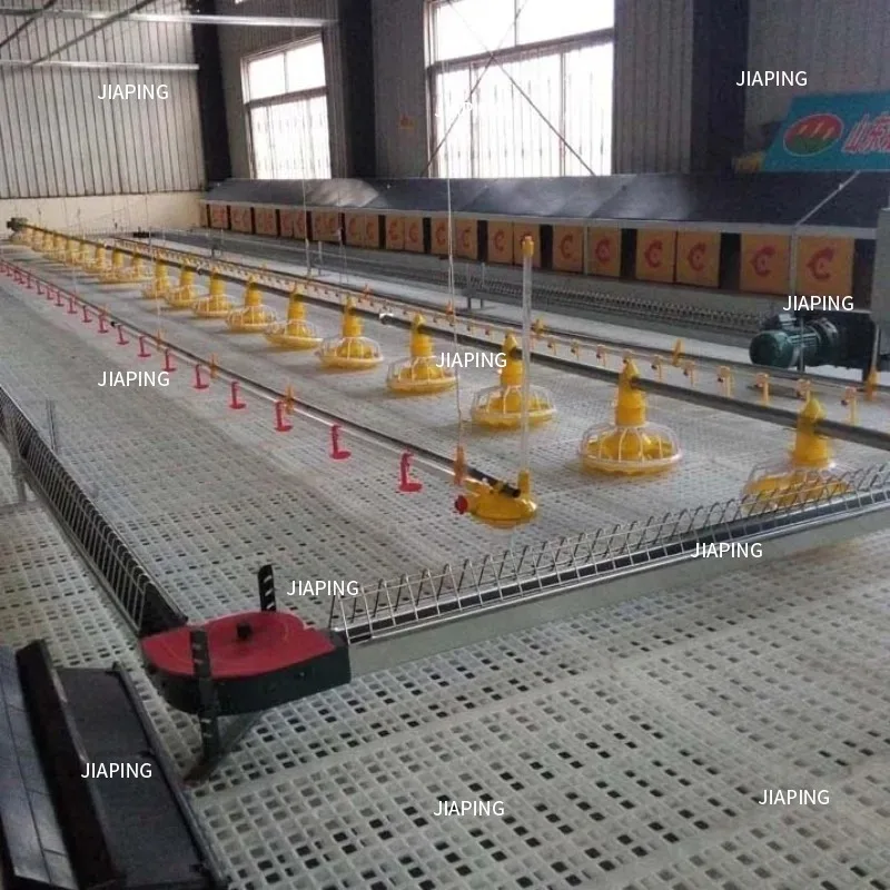 مناسبة لنوع شرائح مزرعة الدواجن البلاستيكية لأرضية شريحة الدجاج البلاستيكية لمزرعة الدواجن اللاحم