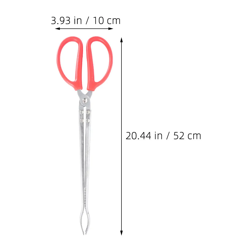 Long Handle Reptile Feeding To - Feeding Tong Stainless reseña y precio