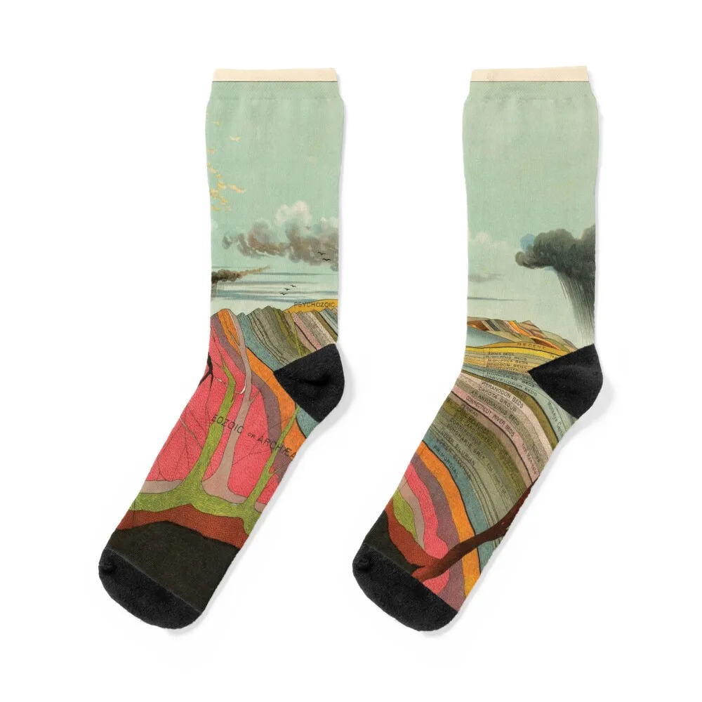 Calcetines vintage con gráfico geológico para hombre y niña, medias deportivas y de Ocio personalizadas, cálidas, invierno, 1893