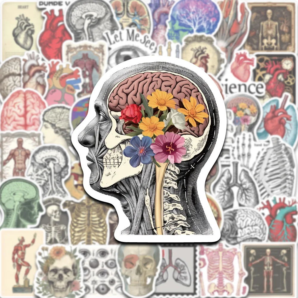 50 SZTUK Retro Anatomia Naukowa Ludzki Organ Naklejka Oko Serce Mózg Wątróbka Trunk Kończyny Kolekcja Artystyczna Dekoracja Etui na Telefon Kubek