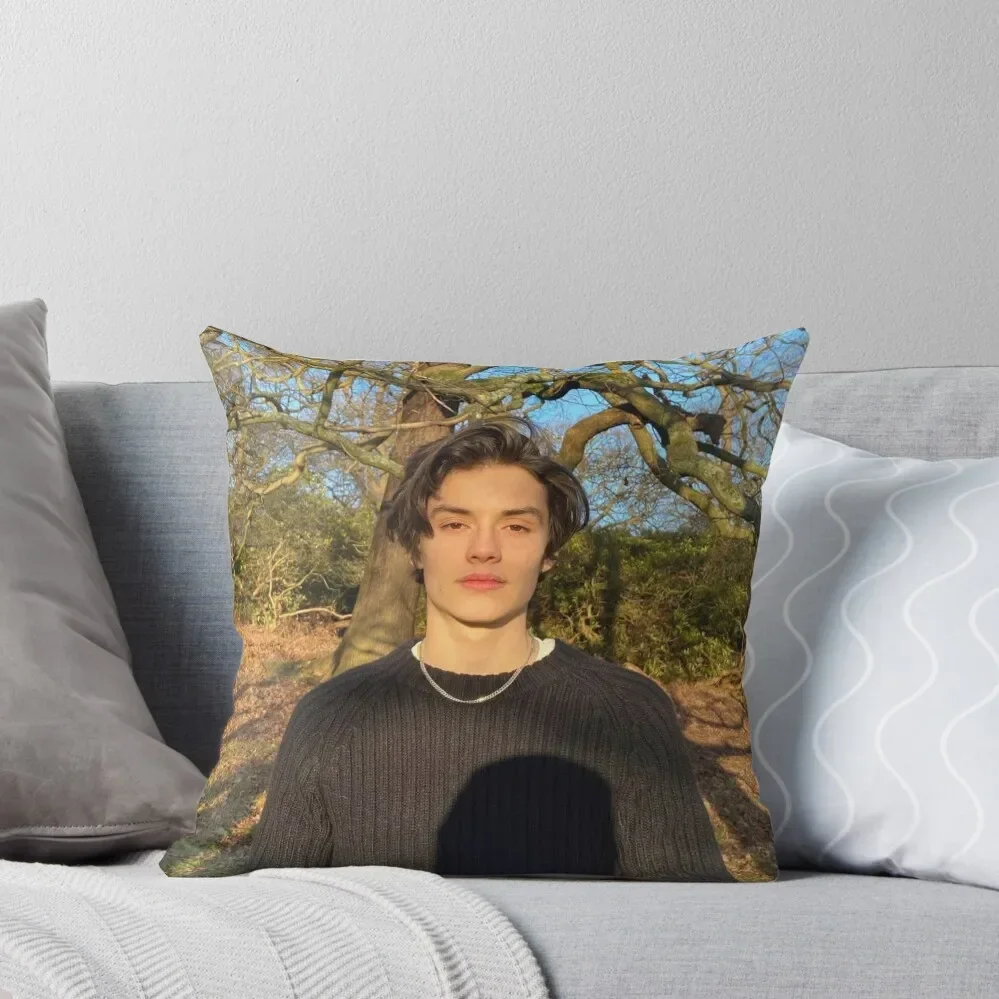 

Louis Partridge Throw Pillow Pillow Covers Decorative Cushions For Sofa Plaid Sofa Couch Cushions pillow