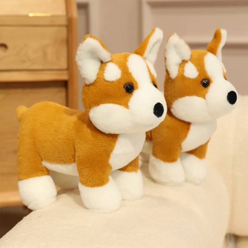25cm mignon Corgi en peluche jouet dessin animé doux en peluche chiot jouets poupées filles garçons compagnon de couchage voiture Homedecor Plusie jouets