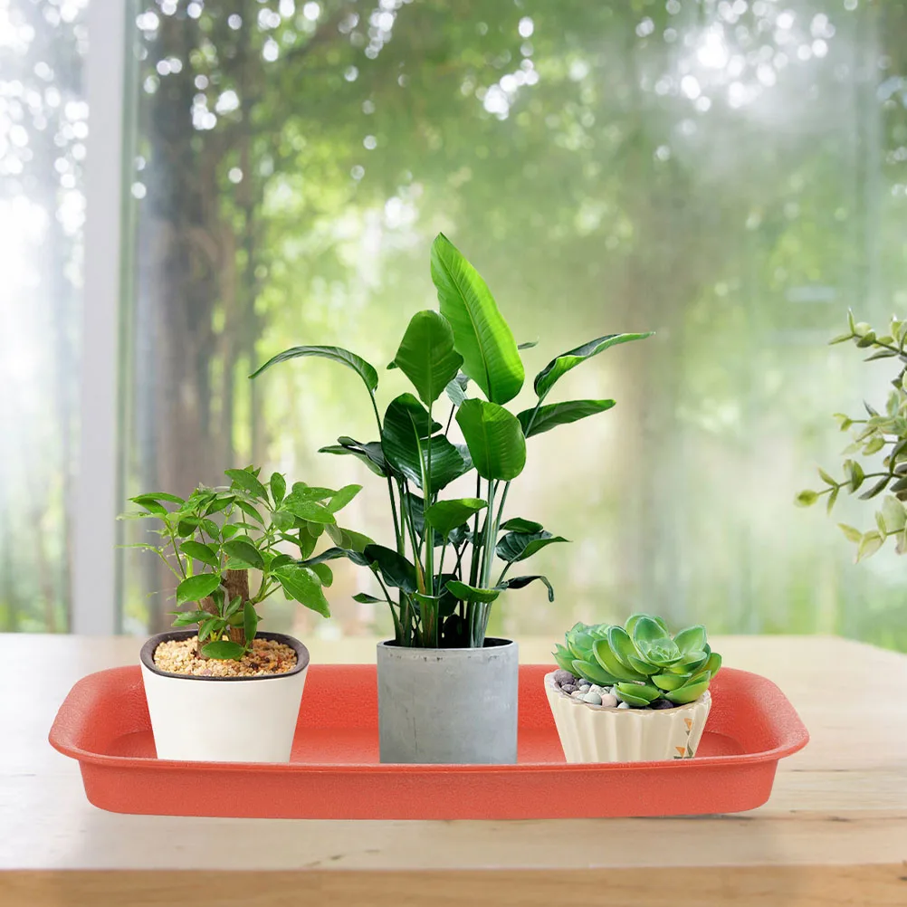 

3 Pcs Rectangular Flower Pot Base Waterproof Plant Saucer Tray Drip Trays for Indoor Plants Catcher Prevent Leakage Bonsai