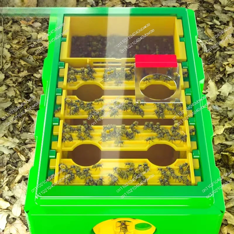 bee-plastic-king-hive-queen-bee-single-layer-mating-box