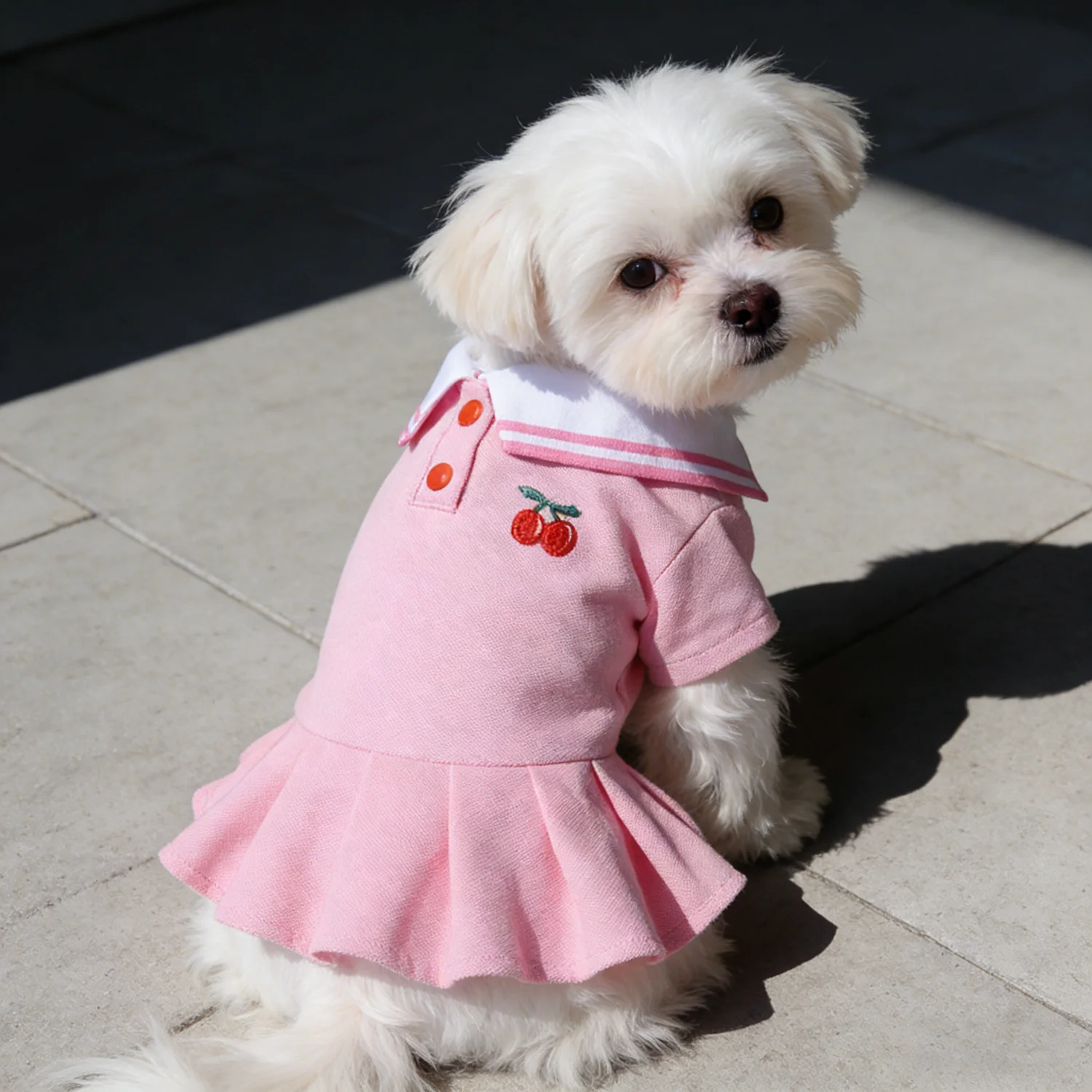 #41 Trending Pet Apparels Right Now