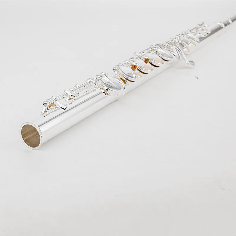 Thumbnail 4 - #11 New Flute Cases & Gigbags Arrivals