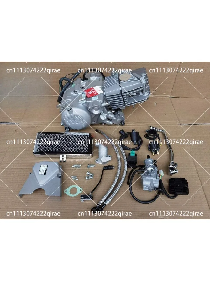 Motorcycle Engine 190cc Oil-Cooled ZS1P62YML-2 Engine Assembly