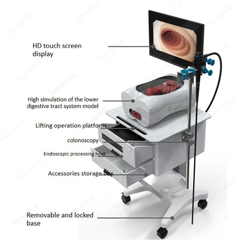 Integrated simulator for colonoscopic surgery training Colonoscopy intervention training model Medical Education