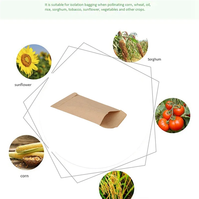 AB42-200Pcs Brown Kraft Seed Bag Breeding Bag Is Used To Store Seeds, Small Parts, Coins, Jewelry, Etc. (About 6X11 Cm)