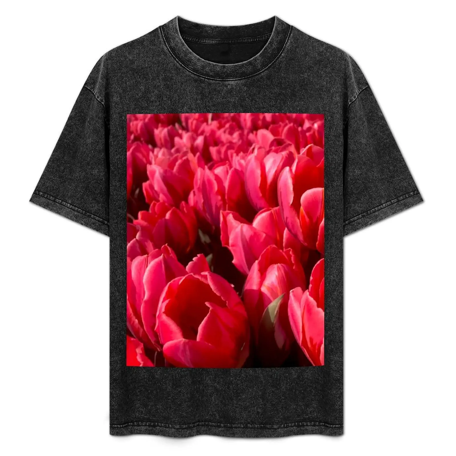 

Red Tulip Flower bed (Tulips from Amsterdam) T-Shirt Lightweight Print T-Shirt