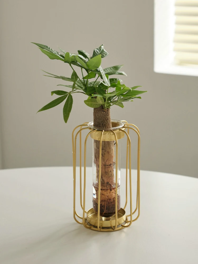 Glass Lantern Vase …