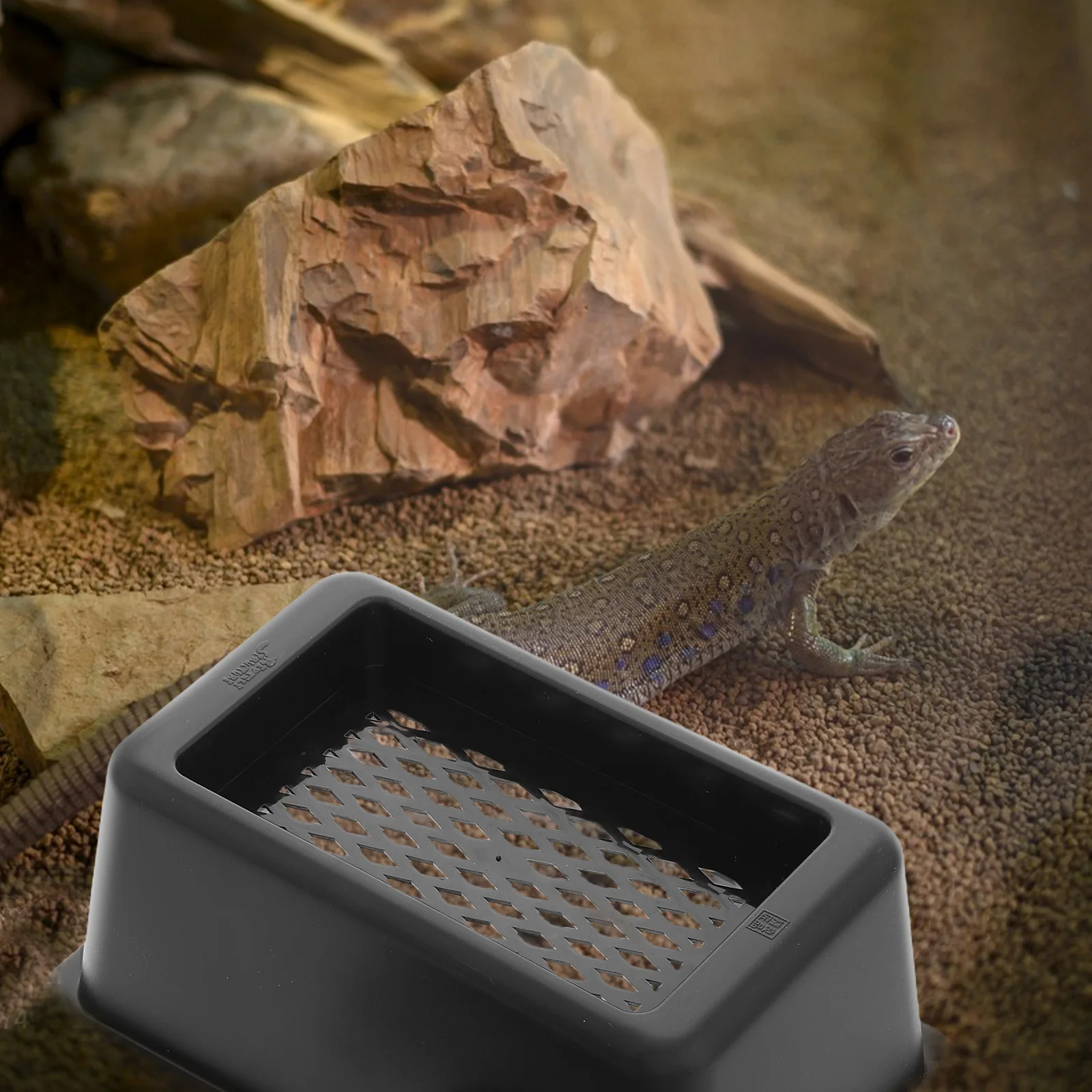 

Reptile Enclosure Accessories Plastic Hideout Feeding Dish for Reptiles Shelter Gecko Terrarium Decor lizard tank accessories