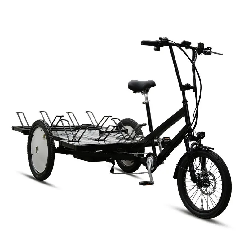 F20 R19 inch e-cargo Transport Goods 500W motor electric 3 wheel with bike stand tricycles flatbed cargo tricycle