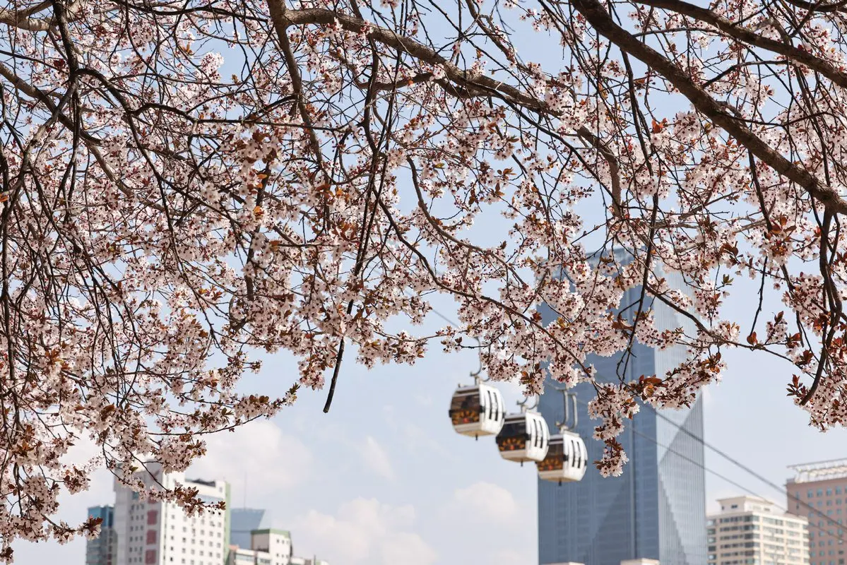 

1:16 Scale C64-1 RC Truck Rechargeable Climbing Vehicle 4WD Electric Vehicle