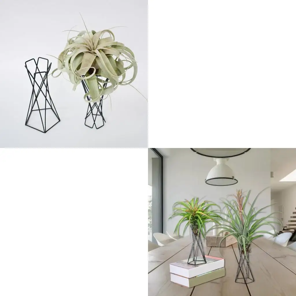 

Nordic Air Plant Holder Metal Flower Pot Stand Geometric Iron Tillandsia Holder Table Home Garden Ornaments Home