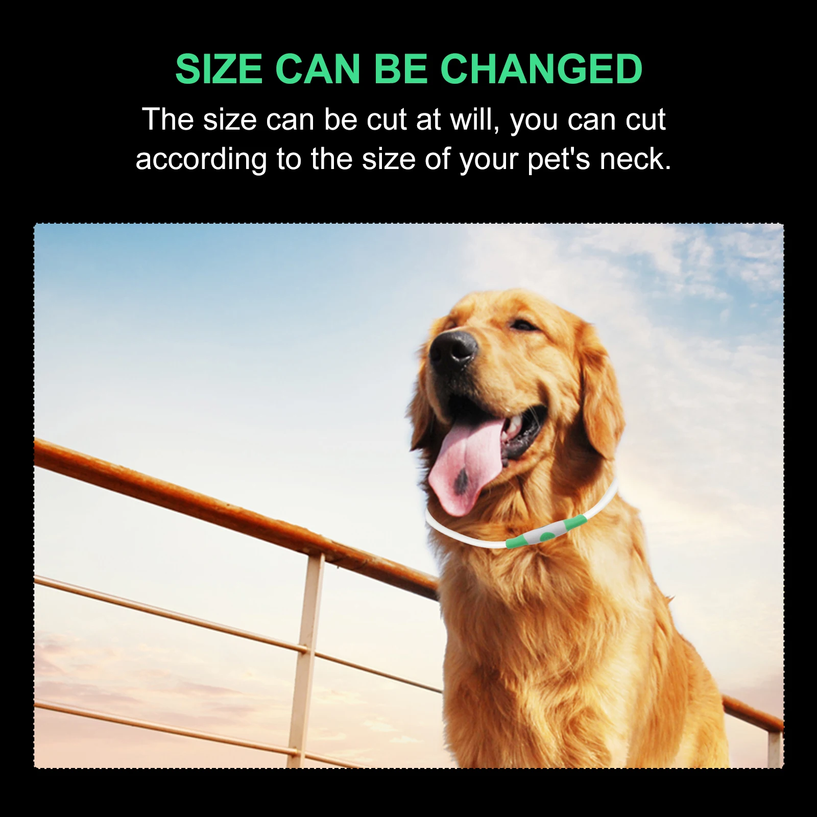 

Luminous Pet Collar Night Flashing Dog Necklace Safety Glow Dark Adjustable Size Glowing Pet Supply LED Light for Dogs