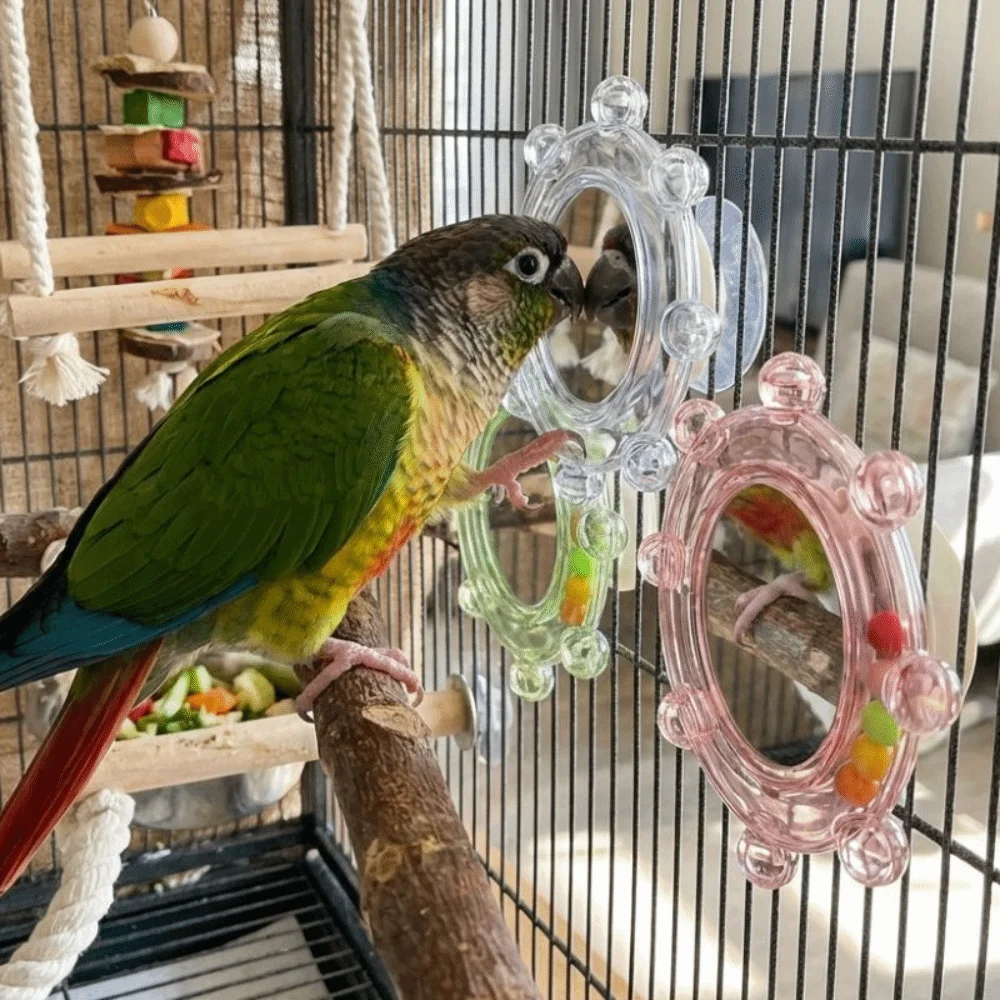 Colorful Ball Parrot Mirror Toy Spinning Puzzle Bite Resistant Parrot Spinning Wheels Wear-Resisting with Bell Bird Cage Toys