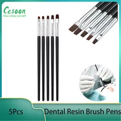 Stylos à brosse en résine dentaire, silicone saillant, adhésif, composite, porcelaine, portable, soins de blanchiment dentaire, outils de laboratoire, 5 pièces