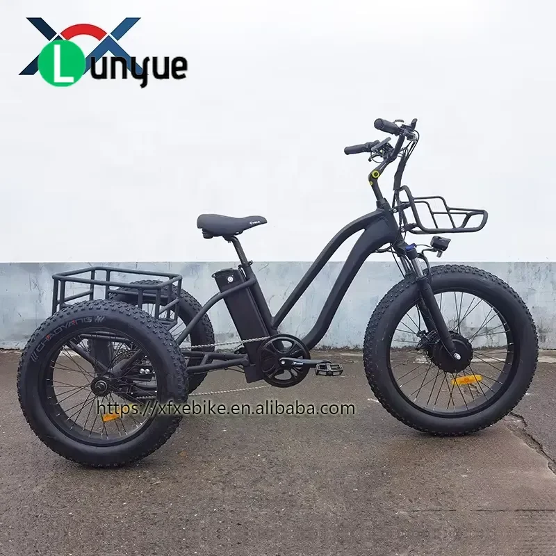 48V 250W Aluminum Alloy Front Drive Motor Electric Tricycle Adult Freight E Trike Wide Tire Three Wheel Bicycle for Cargo
