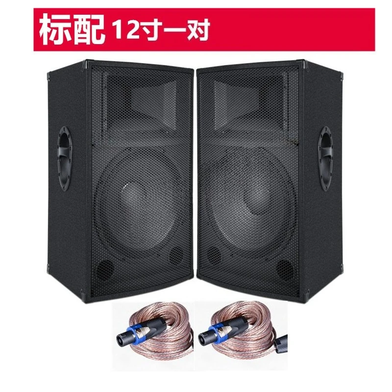 12-inch Subwoofer Professional Stage Performance Speaker, Outdoor Loud Volume Bluetooth Karaoke Home Speaker