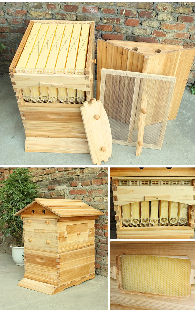 

Automatic Beehive for Plastic Honey Outflow From Beekeeping Equipment